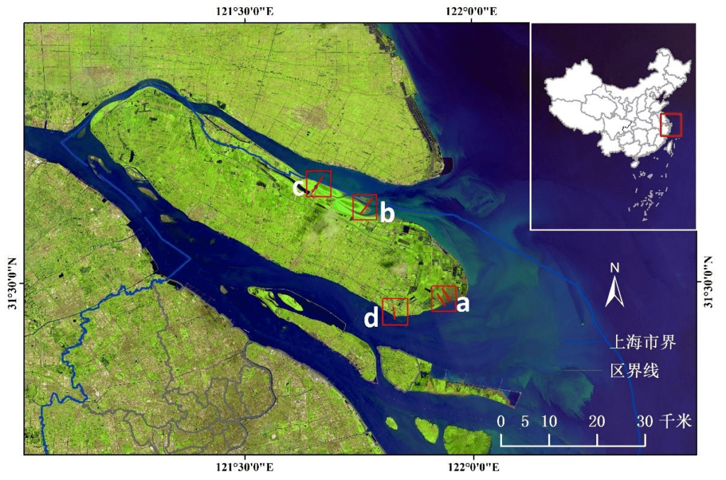 RBR波潮仪用于盐沼植被消浪效应研究