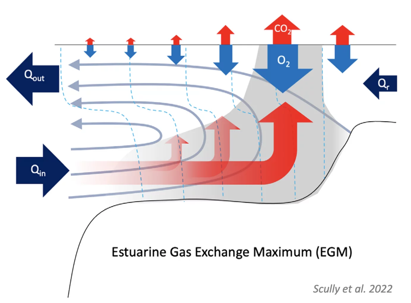 FROM SCULLY ET AL. 2022, FIGURE 7. CONCEPTUAL MODEL OF THE ESTUARINE GAS EXCHANGE MAXIMUM. QR  IS THE RIVER DISCHARGE, QIN  IS THE RESIDUAL INFLOW AT THE MOUTH OF THE ESTUARY, AND QOUT  IS THE RESIDUAL OUTFLOW.